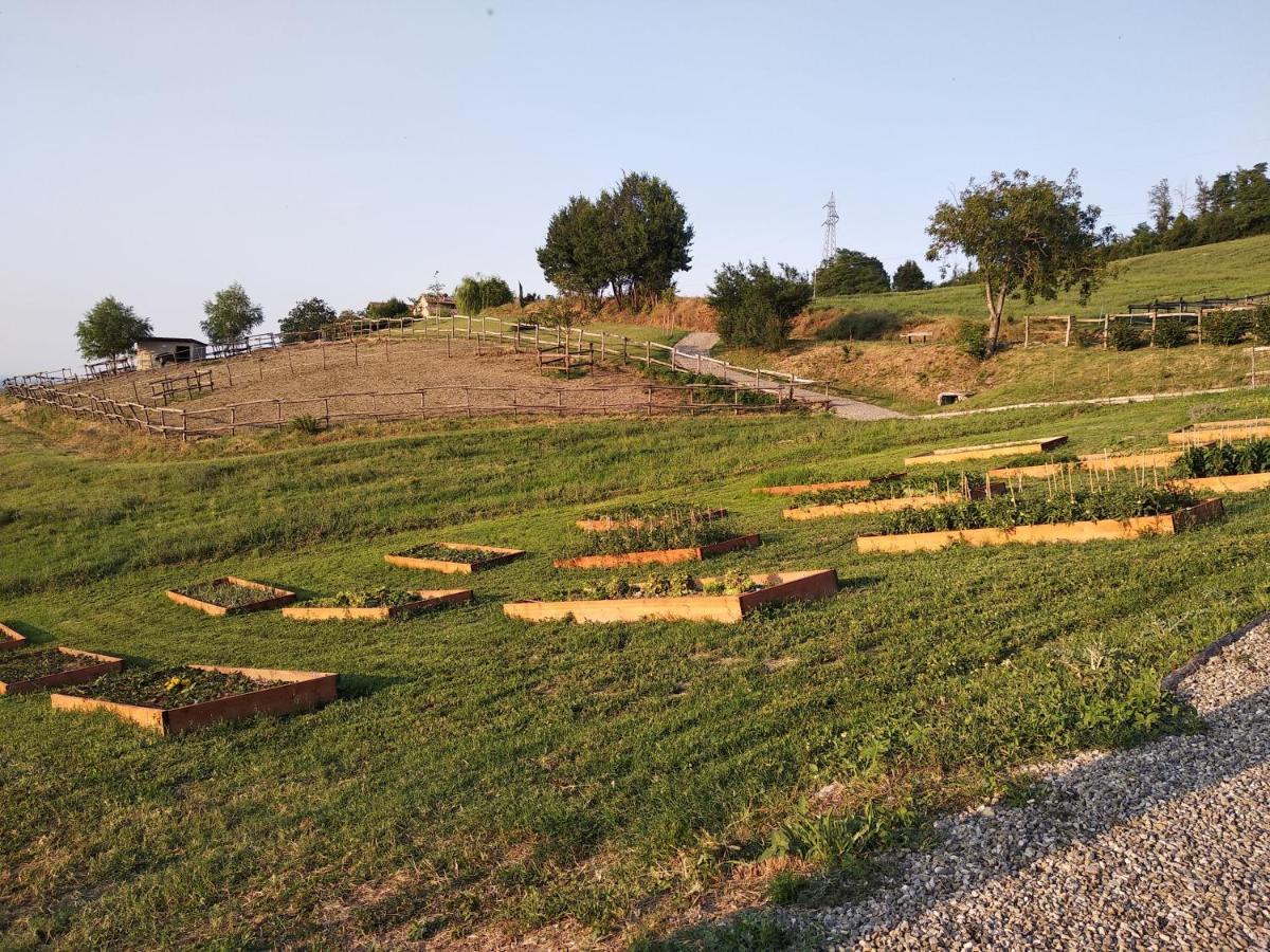 Tenuta I Musi Lunghi Lesignano de' Bagni Kültér fotó