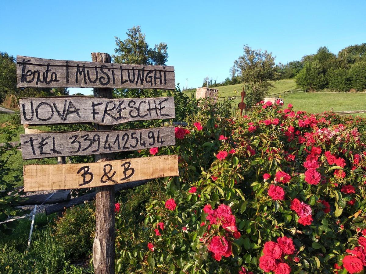 Tenuta I Musi Lunghi Lesignano de' Bagni Kültér fotó